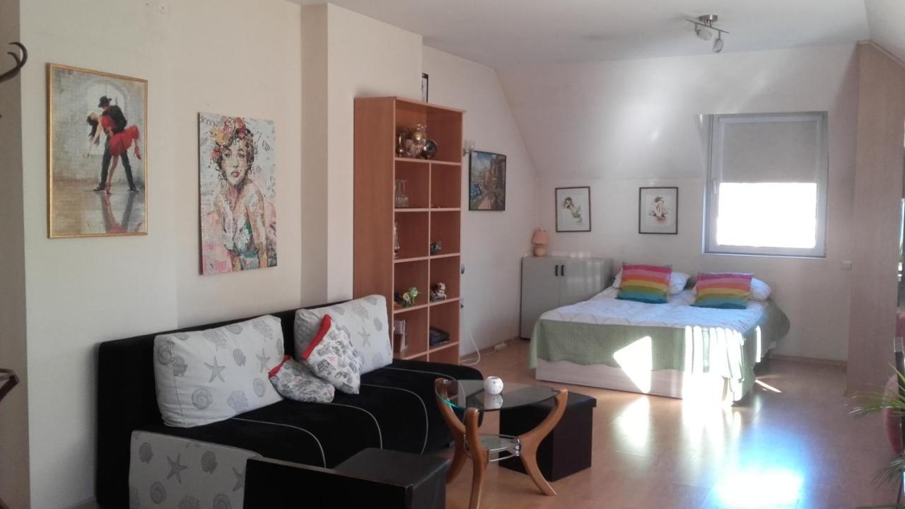 Central Park Studio Plovdiv Kültér fotó
